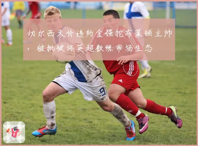 切尔西天价违约金强挖布莱顿主帅，被批破坏英超教练市场生态