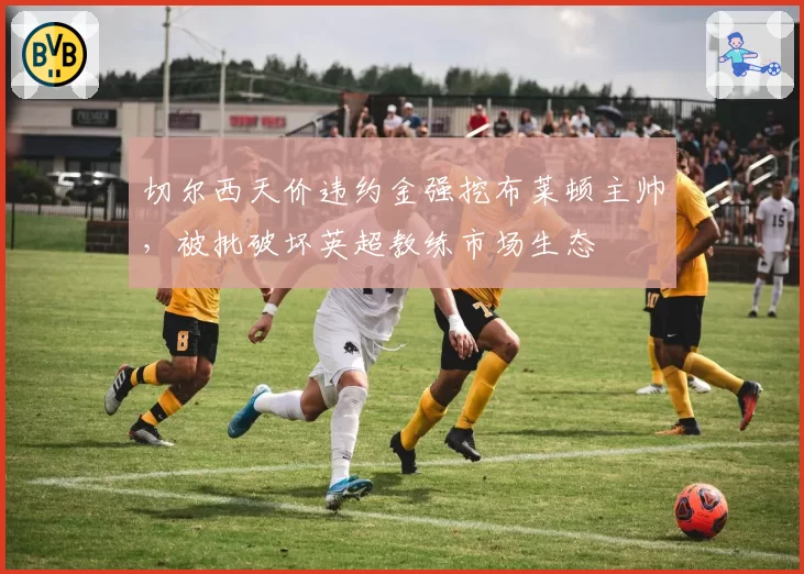 切尔西天价违约金强挖布莱顿主帅，被批破坏英超教练市场生态