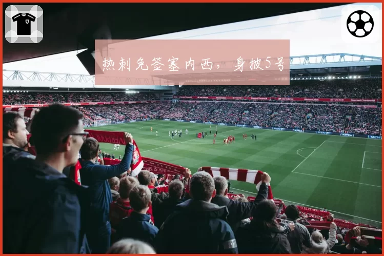热刺免签塞内西,身披5号